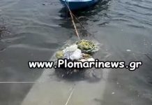 Συγκλονιστικό ΒΙΝΤΕΟ με την στάθμη της θάλασσας στο Πλωμάρι μετά τον σεισμό!