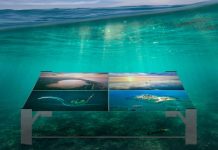 Η πρώτη παγκοσμίως υποβρύχια έκθεση αεροφωτογραφίας στην Κω!