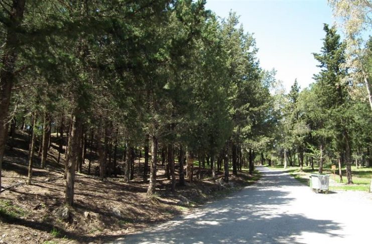 Προληπτική απαγόρευση κυκλοφορίας εντός δασών