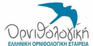 ΔΟΠΑΒΣ: ΑΝΑΒΟΛΗ εκδήλωσης λόγω καιρού