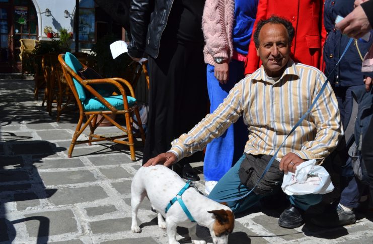 ΓΣ και Εκλογές την Κυριακή για Νέο ΔΣ στη Ζωοφιλική Οικολογική Ένωση Κω (ΖΟΕΚ)