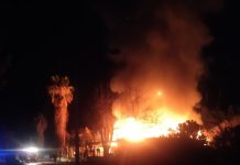 ΦΩΤΟ & ΒΙΝΤΕΟ Φωτιά κατέκαψε ολοσχερώς παραλιακή ταβέρνα στο Ψαλίδι (λίγο πριν τη διασταύρωση προς Υδροβιότοπο)