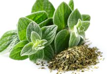 Το ελληνικό αρωματικό που είναι φυσικό αντιβιοτικό και ρίχνει τη χοληστερόλη