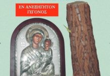 Αναβλάστηση εντελώς ξηρού κούφιου κορμού δίπλα στην εικόνα της Παναγίας της Γιάτρισσας