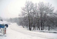 Δείτε την αλατιέρα… πρότυπο για την Ευρώπη της Καρδίτσας (video)