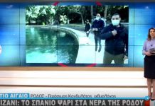 ΒΙΝΤΕΟ Γκιζάνι: Το σπάνιο ψάρι στα νερά της Ρόδου