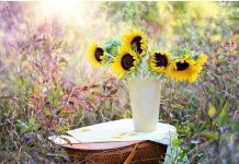 Η γύρη αυξάνει τον κίνδυνο λοίμωξης από τον κορωνοϊό