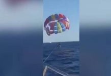 Συγκλονιστικό περιστατικό: Καρχαρίας άρπαξε το πόδι αλεξιπτωτιστή (video)