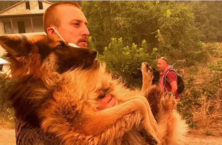 Φωτιά στην Εύβοια: Viral η φωτογραφία εθελοντή να διασώζει λυκόσκυλο που ο ιδιοκτήτης του είχε αφήσει δεμένο να καεί