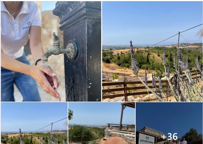 Pandrosia farms – Kos Greece-tours: Ξεναγήσεις-επισκέψεις, workshops-δραστηριότητες στο Ελληνικό brand ομορφιάς από την Κω!