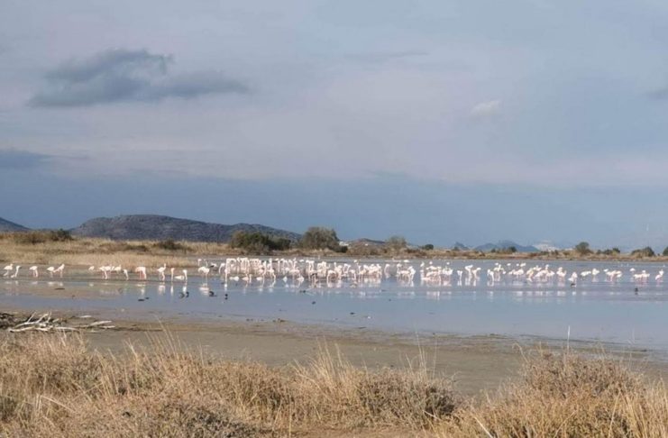 «Ήρθε η ώρα για αποκατάσταση των υγροτόπων» Γράφει ο Νίκος Μυλωνάς