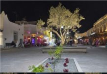 Δήμαρχος Κω: Η Καρδάμαινα » ταξιδεύει» στον κόσμο! Με ελάχιστα χρήματα, μπόλικο μεράκι, ευαισθησία και αναγνώριση…