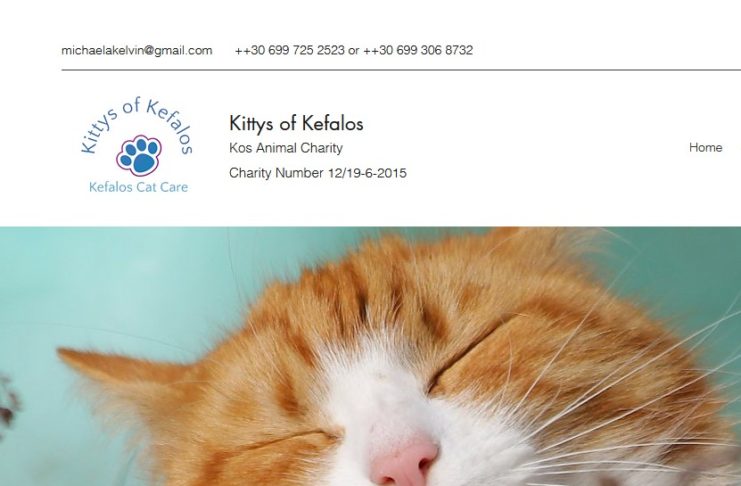 Εκλογές του συλλόγου KITTYS OF KEFALOS στο καφέ «Sunrise» στην Κω Κυριακή, 1 Οκτωβρίου 10:00 – 14:00