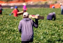 Πράσινο φως για μετακλήσεις άλλων 32.507 εργατών από τρίτες χώρες – Τι προβλέπει η ΚΥΑ