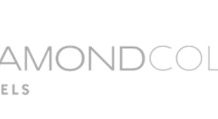 Diamond Collection Hotels is hiring Senior Accountant (12 months employment)