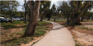 Τραγωδία στα Χανιά: Νεκρός 29χρονος στους Αγίους Αποστόλους – Βρέθηκε κρεμασμένος σε δέντρο | Σοκ στη γιορτή καστάνου στο Έλος – Έπεσαν πυροβολισμοί, ένας τραυματίας