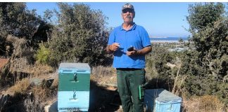 Πλήγμα στην οικογενειακή επιχείρηση του κ. Γιάννη Τσίκνη στο Πυλί, με έξι νεκρά μελίσσια (πιθανόν από ψεκασμούς φοινικοειδών)