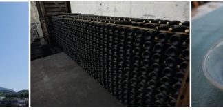 Ένα ταξίδι στο φως, τη γεύση και τον πολιτισμό του Αιγαίου-Ο Οινοτουρισμός στο Νότιο Αιγαίο