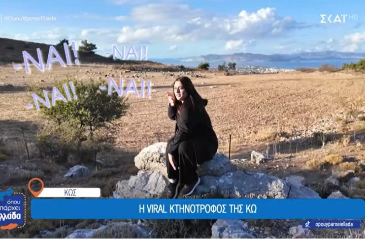 Κως: 27χρονη κτηνοτρόφος από την Κω μιλάει με τα κατσικάκια της | Όπου Υπάρχει Ελλάδα BINTEO