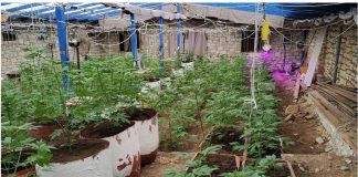 Κρήτη: Από τις ζωοκλοπές στη χασισοκαλλιέργεια και το εμπόριο κοκαΐνης – Πώς στηρίζεται το οργανωμένο έγκλημα