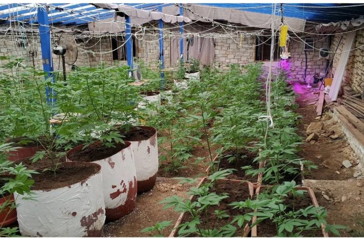 Κρήτη: Από τις ζωοκλοπές στη χασισοκαλλιέργεια και το εμπόριο κοκαΐνης – Πώς στηρίζεται το οργανωμένο έγκλημα