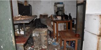 Πρόστιμο 1,7 εκατ. ευρώ σε κάτοικο της Δονούσας – Είχε φυλακισμένες και υποσιτισμένες 58 γάτες μέσα στα σκουπίδια και τη βρωμιά