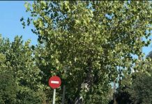 Αναγνώστρια: Κάτι πρέπει να γίνει με τα διαρκώς παρκαρισμένα σε πεζόδρομους οχήματα