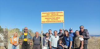 Τοποθέτηση πινακίδων για αποτροπή της έλευσης τροχοφόρων στην περιοχή του ΝΟΚ | Κάνουν «πίστα» την παραλία εξαφανίζοντας τα πάντα…