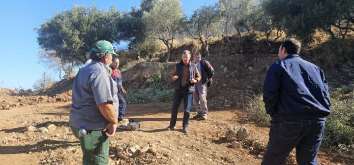 gallery_2e852a74358ba6df5e090dea6f122654