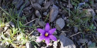 Από το «πόσα κερδίσαμε» στο «πόσα χάσαμε όσο κερδίζαμε» Επίλογος για το 2025 – σκέψεις από την Κω | Του Μιχάλη Τρικοίλη