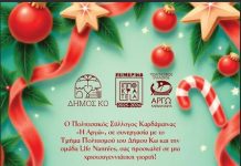 Χριστουγεννιάτικες παιδικές δραστηριότητες σε συνεργασία με Πολιτιστικό σύλλογο ΑΡΓΩ Καρδάμαινας