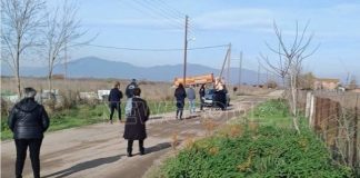 Θεσσαλονίκη: Σκηνές τραγωδίας στο μαντρί του Κώστα Θεοφίλου – «Τζάμπα τα θανατώνουν»