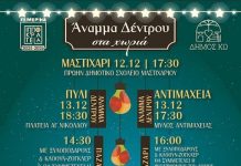 Πρόγραμμα φωταγώγησης Δέντρων σε Μαστιχάρι, Πυλί, Αντιμάχεια, Ζηπάρι και Καρδάμαινα