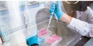 Ο γενικός γραμματέας της Ελληνικής Εταιρείας Αναπαραγωγικής Ιατρικής για τον Δανό δωρητή σπέρματος: 90% η πιθανότητα να εμφανίσουν καρκίνο τα παιδιά