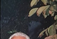 «Έφυγε» από τη ζωή ο αγαπητός συμπολίτης μας Φραντζής Κώστογλου