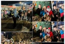 Σε Χριστουγεννιάτικο και εορταστικό κλίμα, η φωταγώγηση του Δέντρου στο Ζηπάρι