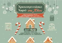 Τμήμα Πολιτισμού: Έως την Κυριακή 21/12 το Χριστουγεννιάτικο χωριό στο Χάνι