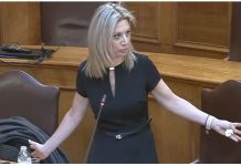 Μαρία Καρυστιανού: Είμαι στην οργάνωσης κινήματος που μπορεί να γίνει κόμμα Δεν έχω σχέση με Τσίπρα