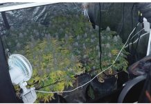 Συνελήφθη Υπαρχιπυροσβέστης και δύο ακόμη για διακίνηση ναρκωτικών