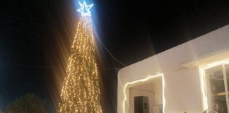 Σε γιορτινό κλίμα το άναμμα του Χριστουγεννιάτικου δέντρου στο Μαστιχάρι