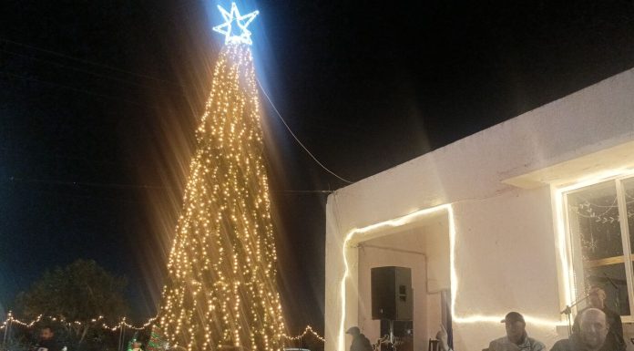 Σε γιορτινό κλίμα το άναμμα του Χριστουγεννιάτικου δέντρου στο Μαστιχάρι