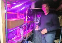 «Όαση» Εκπαίδευσης και Καινοτομίας η αυλή του 5ου Δημοτικού Σχολείου Κω