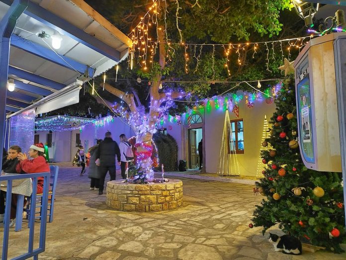 gallery_aa35b801f971e3b6243f066ee8d92046