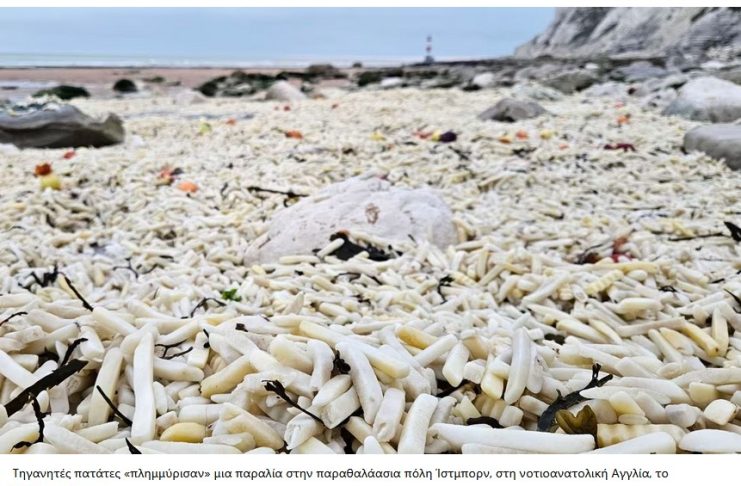 Αγγλία: Χιλιάδες τηγανητές πατάτες και κρεμμύδια ξεβράστηκαν σε παραλία