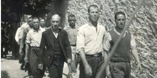 Αυθεντικές οι φωτογραφίες από τις εκτελέσεις στην Καισαριανή, 262 ντοκουμέντα αγοράζει το Υπ. Πολιτισμού μετά από συμφωνία με τον συλλέκτη