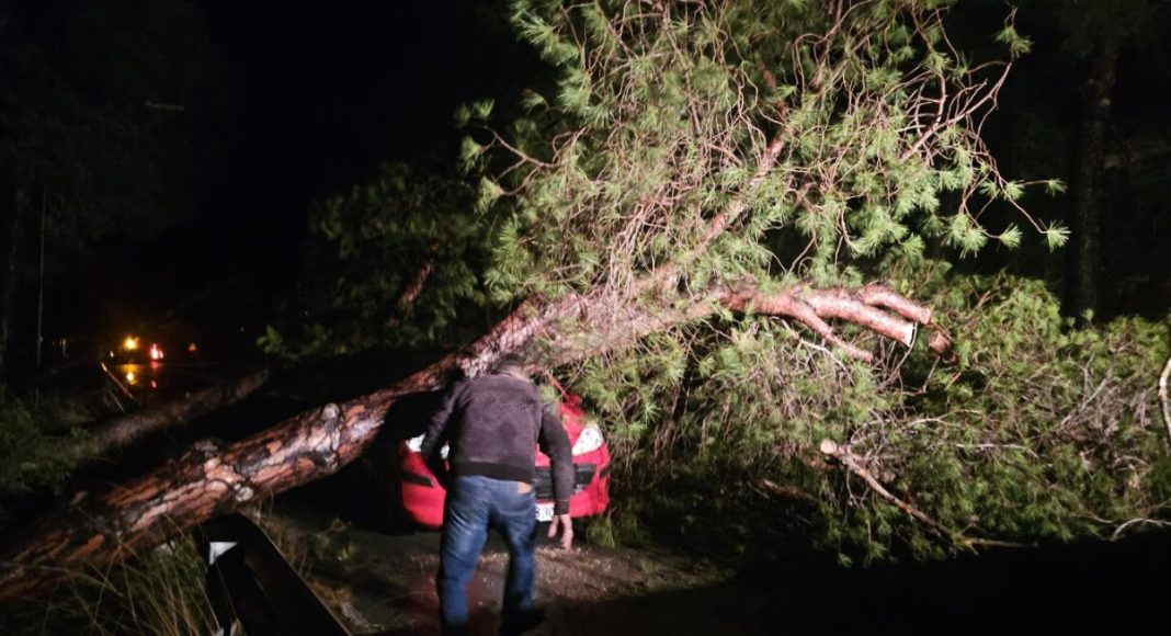 Διεκόπη η κυκλοφορία στο δρόμο Αντιμάχεια-Μαστιχάρι λόγω πτώσης δέντρων | Και διακοπή ρεύματος λόγω ζημιών στο δίκτυο