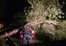 Διεκόπη η κυκλοφορία στο δρόμο Αντιμάχεια-Μαστιχάρι λόγω πτώσης δέντρων | Και διακοπή ρεύματος λόγω ζημιών στο δίκτυο