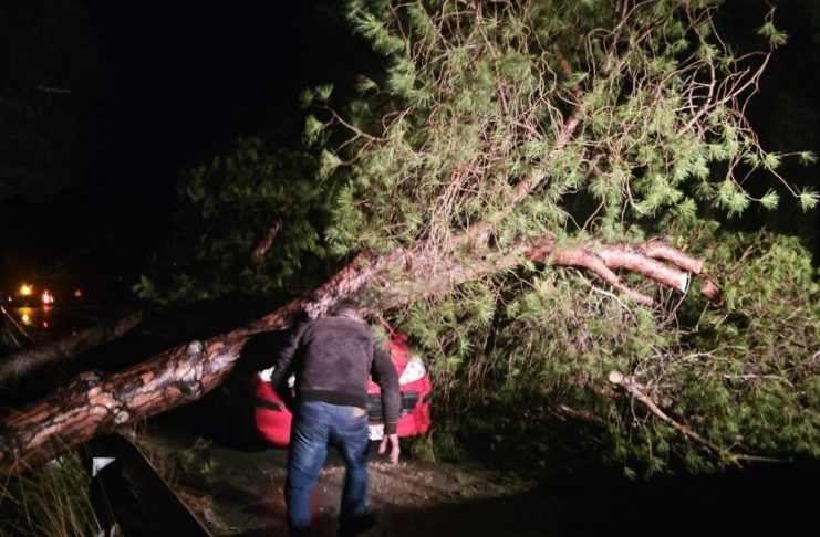 Διεκόπη η κυκλοφορία στο δρόμο Αντιμάχεια-Μαστιχάρι λόγω πτώσης δέντρων | Και διακοπή ρεύματος λόγω ζημιών στο δίκτυο