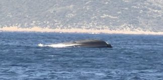 Δείτε βίντεο με το αναποδογυρισμένο σκάφος της Frontex στο Καστελόριζο: Επέβαινε η Εσθονή πρέσβης, τρεις οι τραυματίες