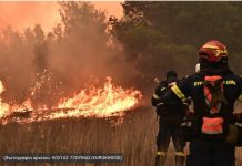 Από τη Φλώρινα στη NASA: Ο πυροσβέστης που έβαλε την AI στη μάχη με τις φλόγες – Τι είναι το FireGuard 112+